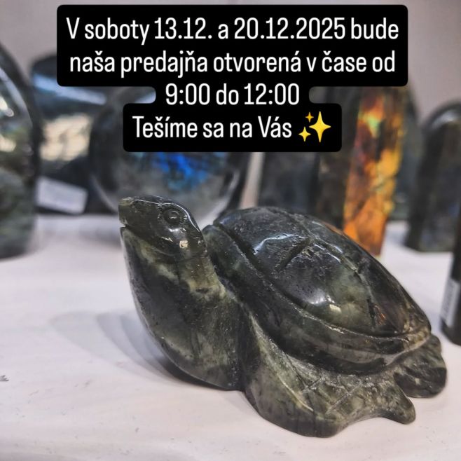 OZNAM! V soboty 13.12. a 20.12. bude naša predajňa, na Záhradníckej 95, otvorená v čase od 9:00 do 12:00🎄. Tešíme sa na...